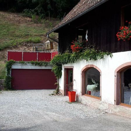 Ferienwohnung Le Moulin Des Automates Fréland Exterior foto